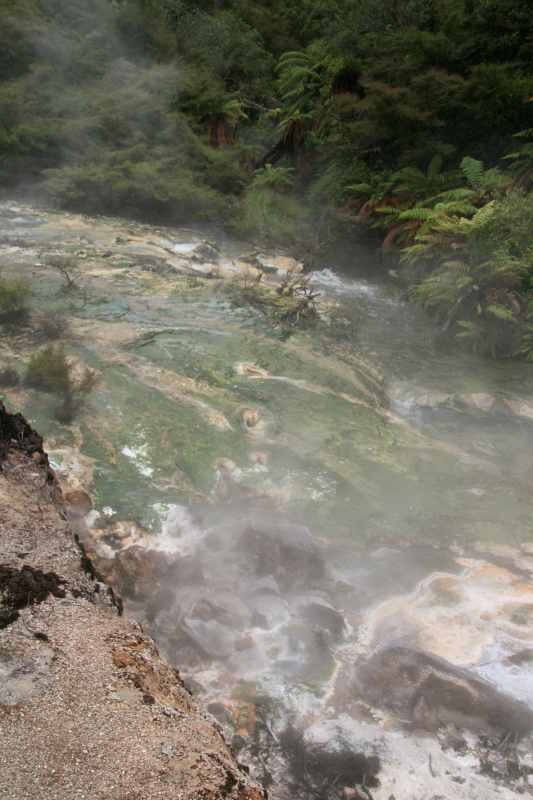 Nieuw-Zeeland 2011 - 0705